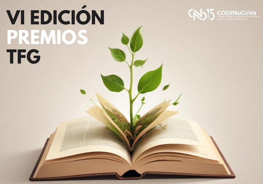 Image de la noticia
